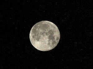 20050918_4.jpg