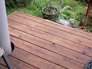 20060729_2.jpg