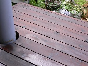 20060730.jpg