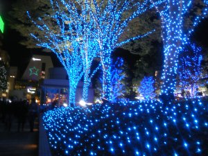 20081211.jpg