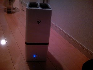 20090705.jpg