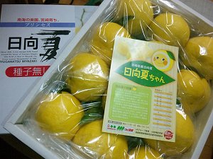 20100220_1.jpg