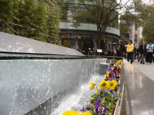 20100411_2.jpg