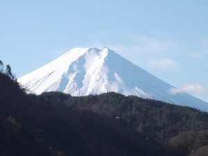 20110102.jpg