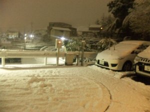 20110214_2.jpg